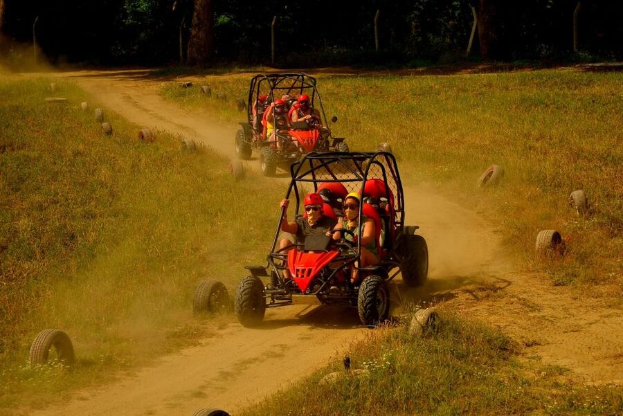 Alanya: Buggy Safari Adventure with Hotel Transfers - Dusty pine roads beneath the mountains