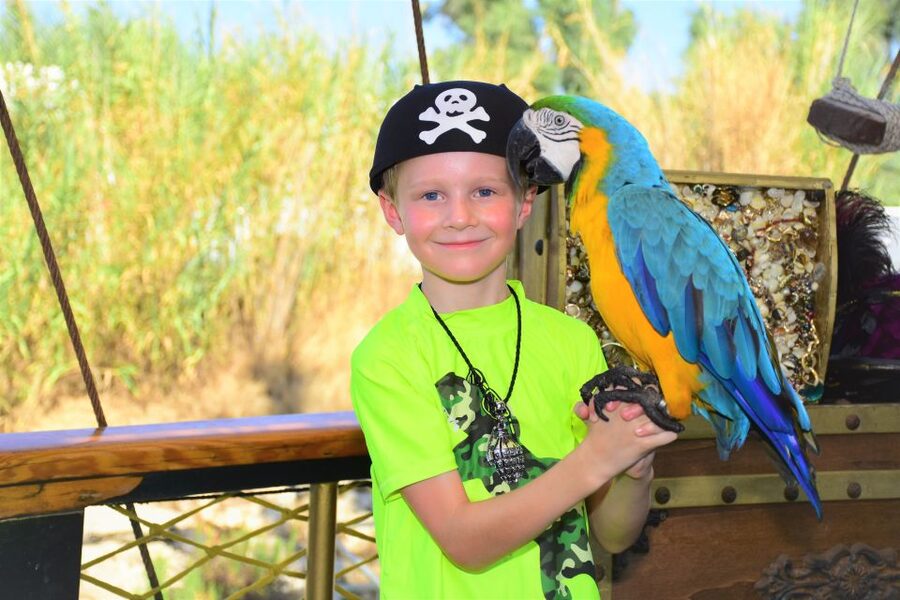 Alanya: Pirate Boat Trip with Meal, Drinks and Pickup Option - What the $14 price really includes