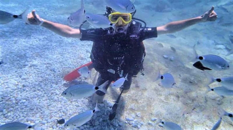 Alanya: Scuba Diving Adventure for Beginners & Professionals - Key points to know before booking