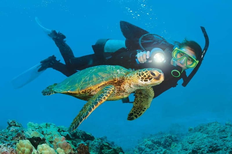 Alanya: Scuba Diving Adventure for Beginners & Professionals - Why this Alanya boat day offers good value at $51