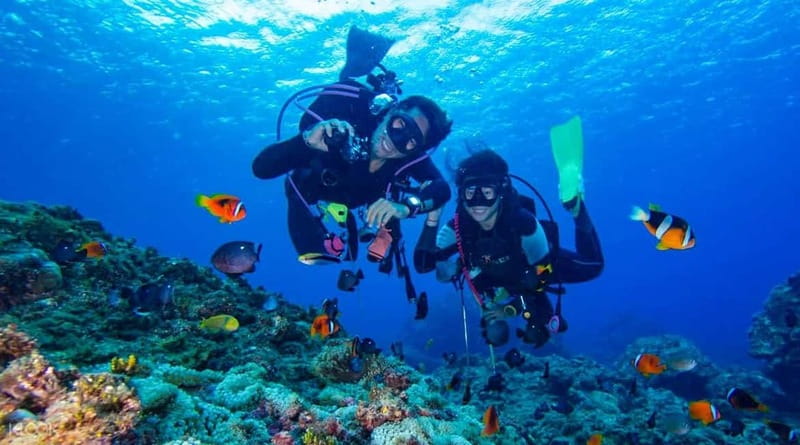 Alanya: Scuba Diving Adventure for Beginners & Professionals - Learning the basics before entering the water