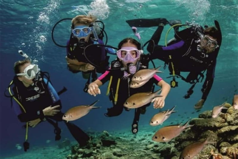 Alanya: Scuba Diving Adventure for Beginners & Professionals - Lunch, sunlight, and the practical rhythm of the boat