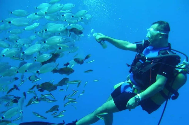 Alanya: Scuba Diving Adventure for Beginners & Professionals - What the staff and group organization add