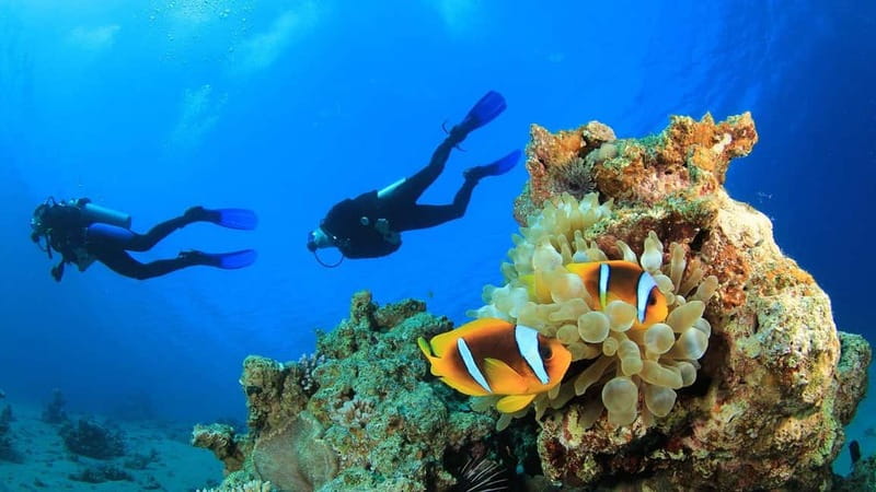 Alanya: Scuba Diving Adventure for Beginners & Professionals - Weather, water temperature, and wildlife limits
