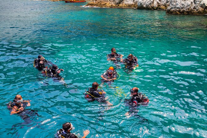 Alanya Scuba Diving with Hotel Transfer incl. Lunch - What you may see below Alanya