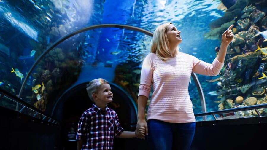 Antalya: Aquarium and Wax Museum Entry Ticket - Entering Antalya Aquarium and setting your pace
