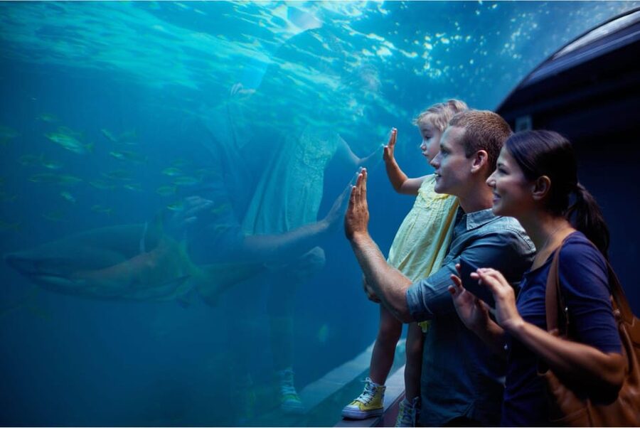 Antalya: Aquarium and Wax Museum Entry Ticket - From coral reefs to the lost city of Atlantis