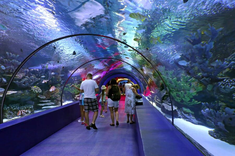 Antalya: Aquarium and Wax Museum Entry Ticket - Optional extras: XD cinema, snow, and reptiles