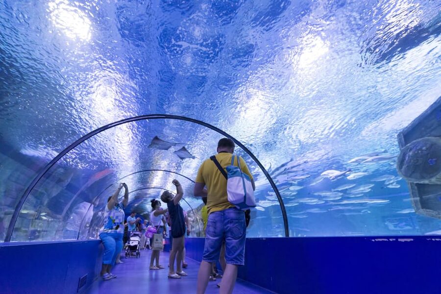 Antalya: Aquarium and Wax Museum Entry Ticket - Is the $47 ticket good value?