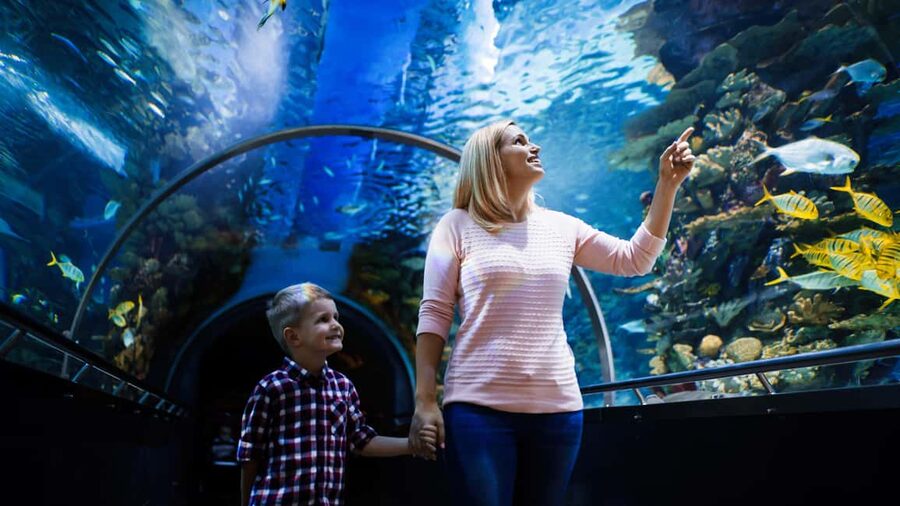 Antalya: Aquarium, Wax Museum, Snow World, Wild Park - Key points to know before you go