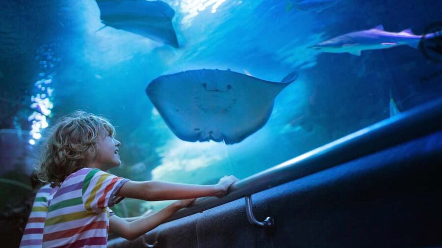 Antalya: Aquarium, Wax Museum, Snow World, Wild Park - What your $43 ticket actually gives you