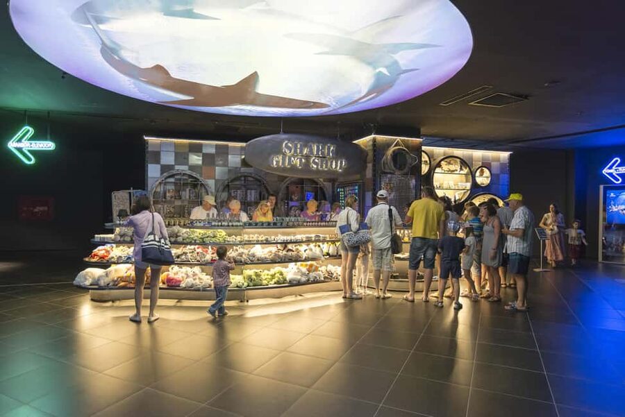 Antalya: Aquarium, Wax Museum, Snow World, Wild Park - The tropical reef and shark feeding stop