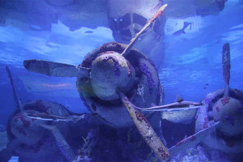 Antalya: Aquarium, Wax Museum, Snow World, Wild Park - The giant tunnel, Atlantis, and the pirate shipwreck
