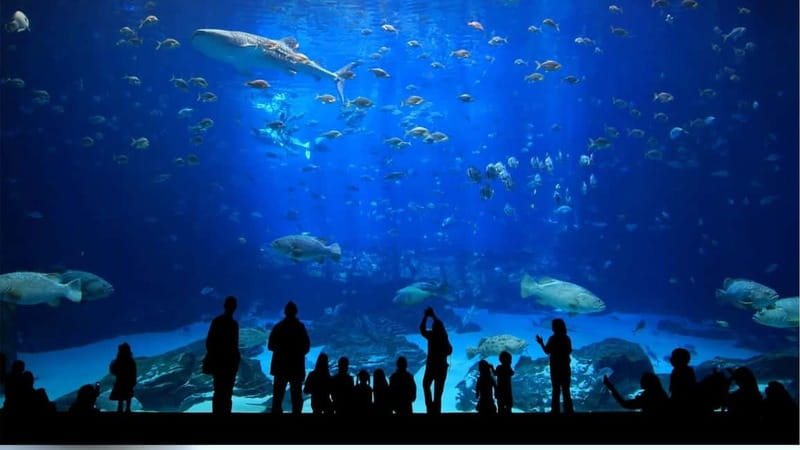 Antalya: Aquarium, Wax Museum, Snow World, Wild Park - Oceanride XD Cinema and the optional add-ons