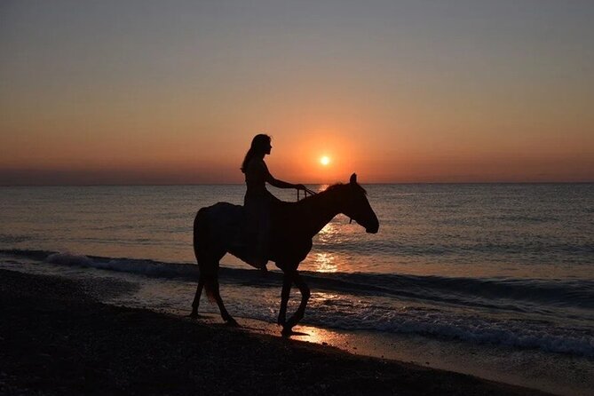 Antalya Horse Riding On Beach And Through The Forests For 2 Hours - Key Points Before You Book