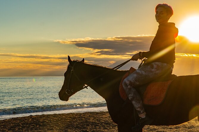 Antalya Horse Riding On Beach And Through The Forests For 2 Hours - What the Antalya Horse Ride Actually Offers
