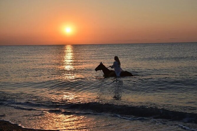 Antalya Horse Riding On Beach And Through The Forests For 2 Hours - Forest Paths Before the Beach
