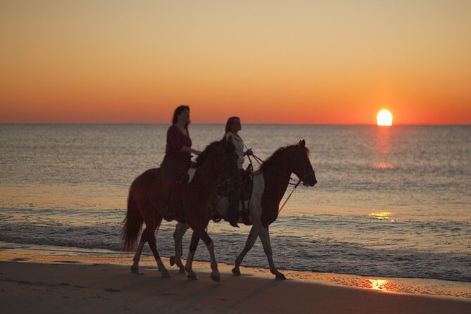 Antalya Horse Riding On Beach And Through The Forests For 2 Hours - Lara Beach on Horseback