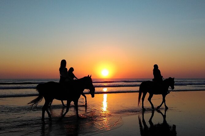 Antalya Horse Riding On Beach And Through The Forests For 2 Hours - How Much Riding Time Do You Get?