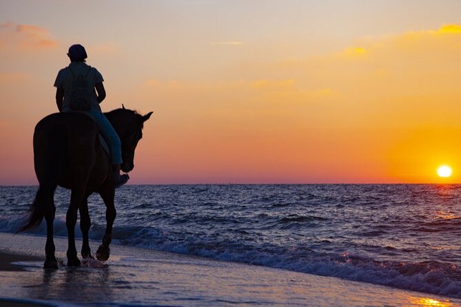 Antalya Horse Riding On Beach And Through The Forests For 2 Hours - Meeting in Antalya and Getting to the Riding Area