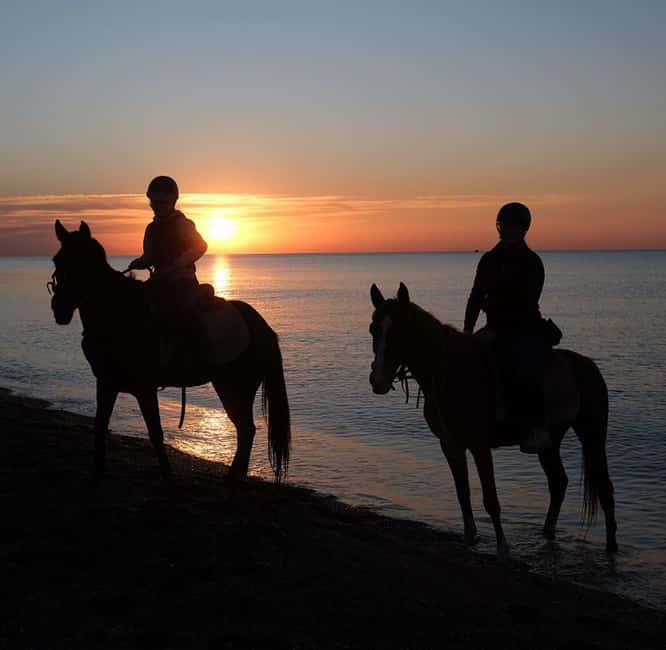 Antalya: Horseback Riding on the Beach and in the Forest - Through the forest and green area