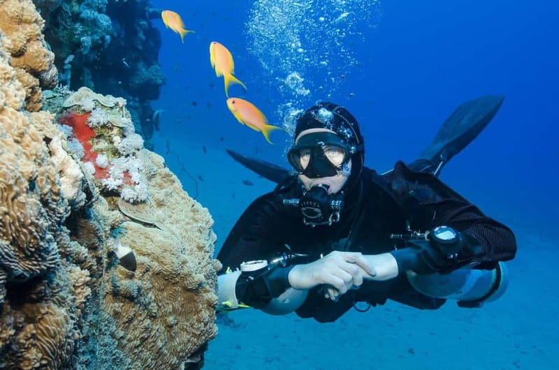 Antalya/Kemer: 2 Dives Scuba Diving Trip with Lunch - What this Kemer boat day is really like