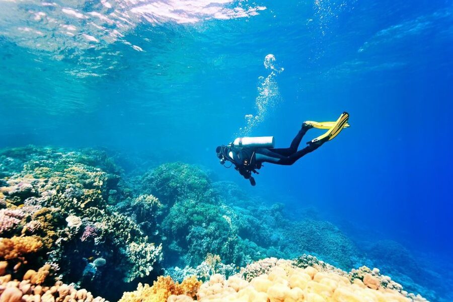 Antalya/Kemer: 2 Dives Scuba Diving Trip with Lunch - Returning to Kemer by boat