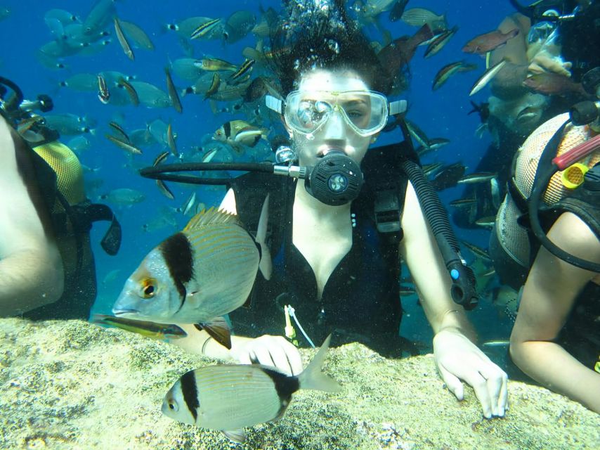 Antalya/Kemer: Scuba Diving Experience with Lunch & Pick up - From hotel pickup to Kemer Marina