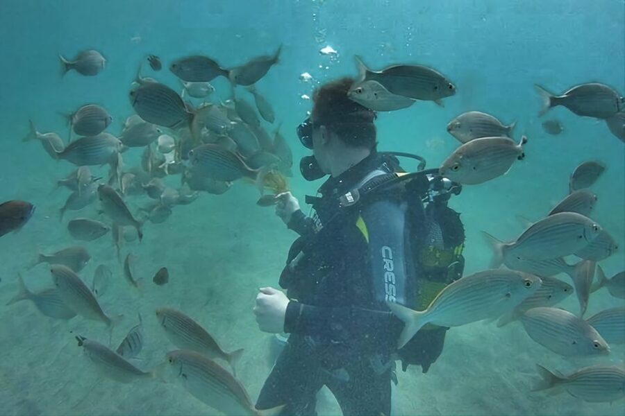 Antalya/Kemer: Scuba Diving Experience with Lunch & Pick up - Kiris Bay: the deeper second session