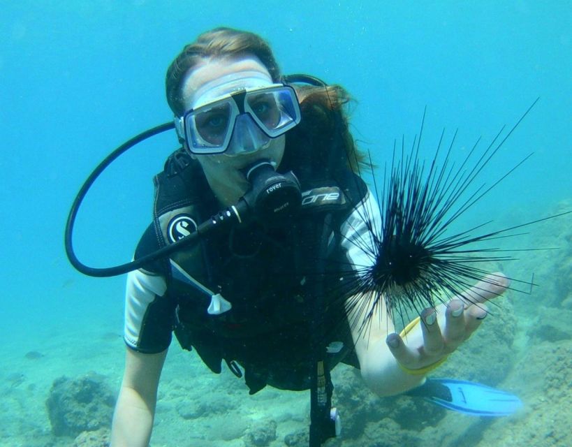 Antalya/Kemer: Scuba Diving with Pickup, Lunch, and 2 Dives - Choosing the second site and seeing the Mediterranean below