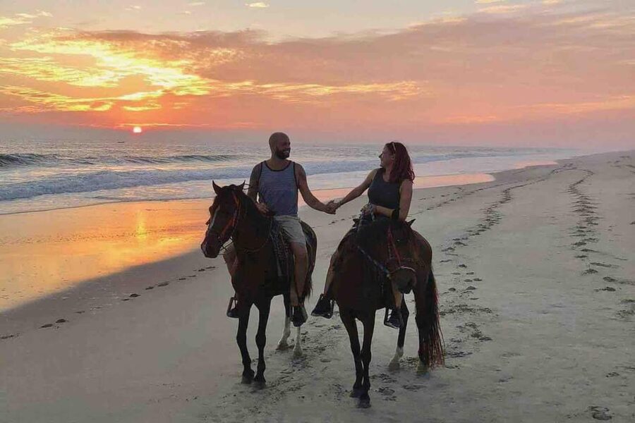 Antalya: Lara Beach & Forrest Horse Riding Safari - Key points before you saddle up