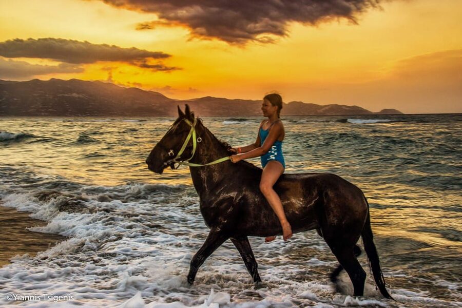 Antalya: Lara Beach & Forrest Horse Riding Safari - The one-hour forest route and what it is really like