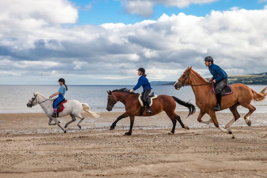 Antalya: Lara Beach & Forrest Horse Riding Safari - Guides, language, and group size