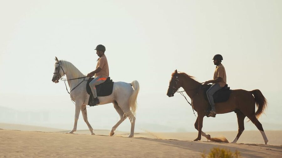 Antalya: Lara Beach & Forrest Horse Riding Safari - Who will enjoy this safari most?