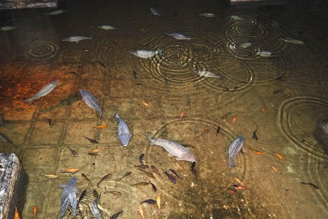 Basilica Cistern Skip the Line Ticket - Timing, crowds, and the security queue