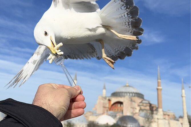 Best of Istanbul City Full-Day Tour with Transfers - What this Istanbul day actually covers