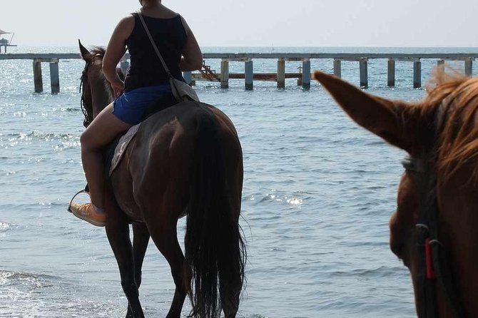 Bodrum Horseback Riding Experience with Hotel Transfer - What to wear for two hours in the saddle