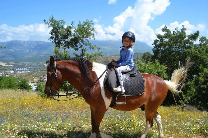 Bodrum Horseback Riding Experience with Hotel Transfer - Is $78.44 a fair price?