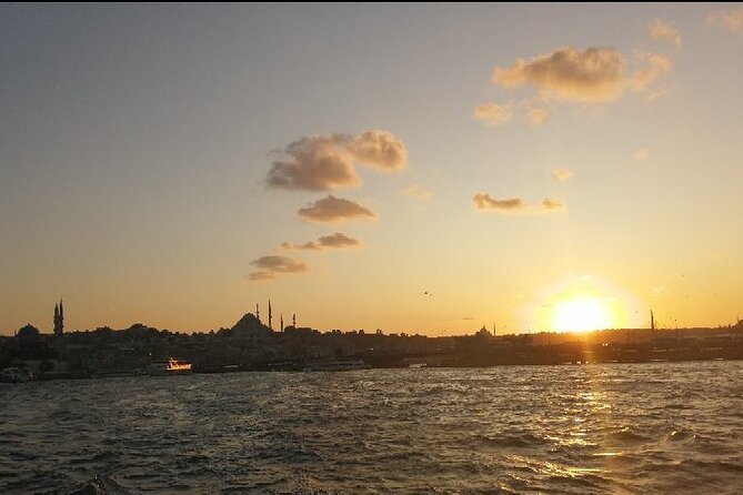 Bosphorus Explorer: 3-Hour Cruise with Asian Side Visit - Why the Bosphorus is the real attraction
