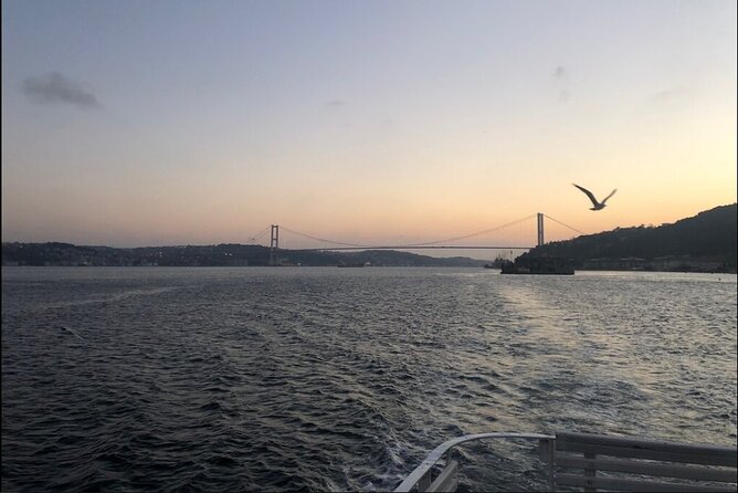 Bosphorus Explorer: 3-Hour Cruise with Asian Side Visit - Fortresses, palaces, and the northern stretch
