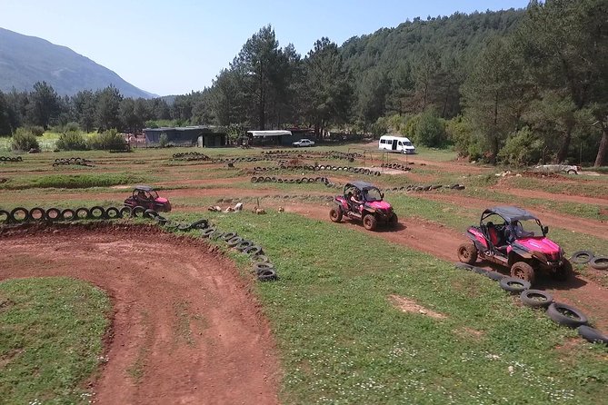 Buggy Safari for 2 people - Driving through forest tracks and hilltop viewpoints