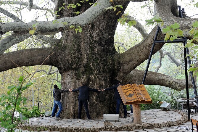 Bursa Day Trip from Istanbul - The old plane tree and Bursa’s Ottoman center