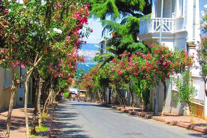 Buyukada Princes’ Island Guided Day Tour with lunch from Istanbul - Why Büyükada makes a good break from Istanbul