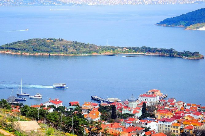 Buyukada Princes’ Island Guided Day Tour with lunch from Istanbul - Arriving at Büyükada and waiting for the carriage