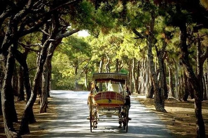 Buyukada Princes’ Island Guided Day Tour with lunch from Istanbul - Wooden mansions, monasteries, and island history