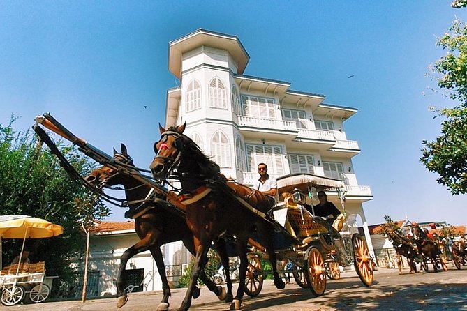 Buyukada Princes’ Island Guided Day Tour with lunch from Istanbul - How much value do you get for $84.21?