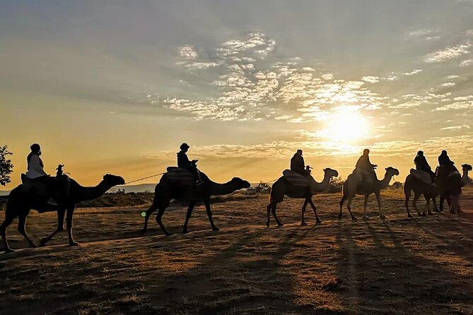 Camel Safari in Cappadocia - Red Valley and Rose Valley From Camelback