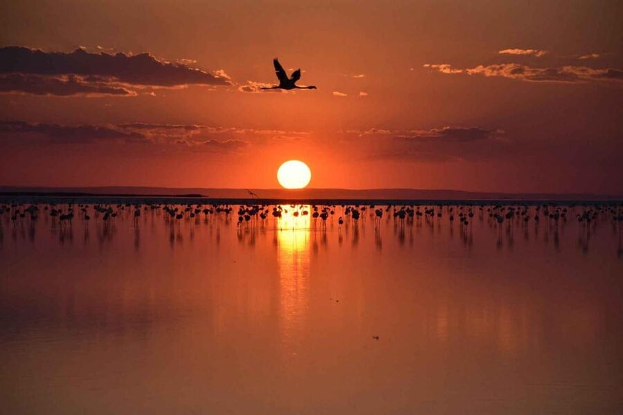 Cappadocia Amazing Sunset Tour To Salt Lake - Flamingos and the lakes wider importance