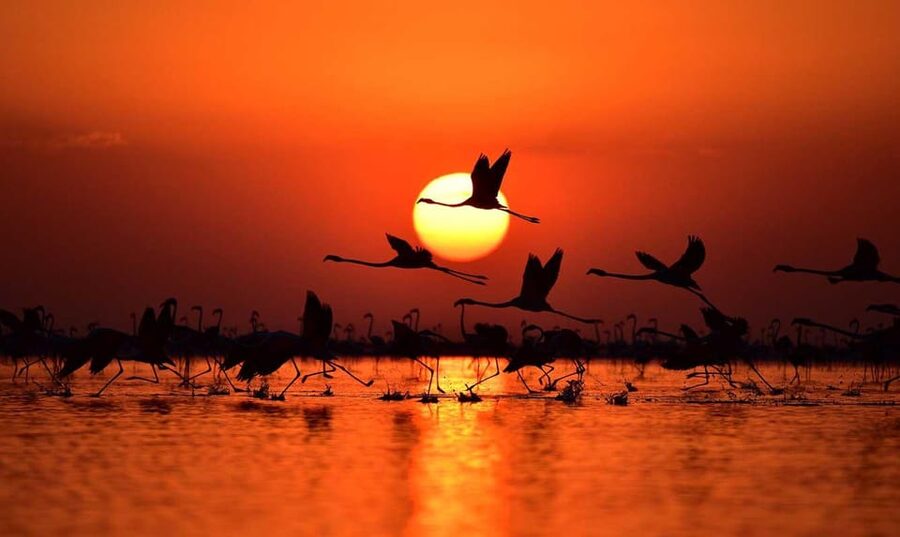 Cappadocia Amazing Sunset Tour To Salt Lake - Should you book the Cappadocia Salt Lake sunset tour?