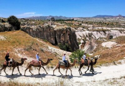 Camel Safari